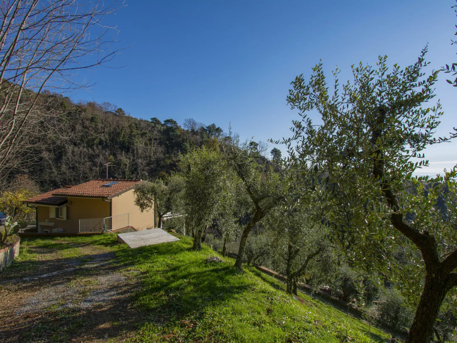 Il Paradiso-Outside