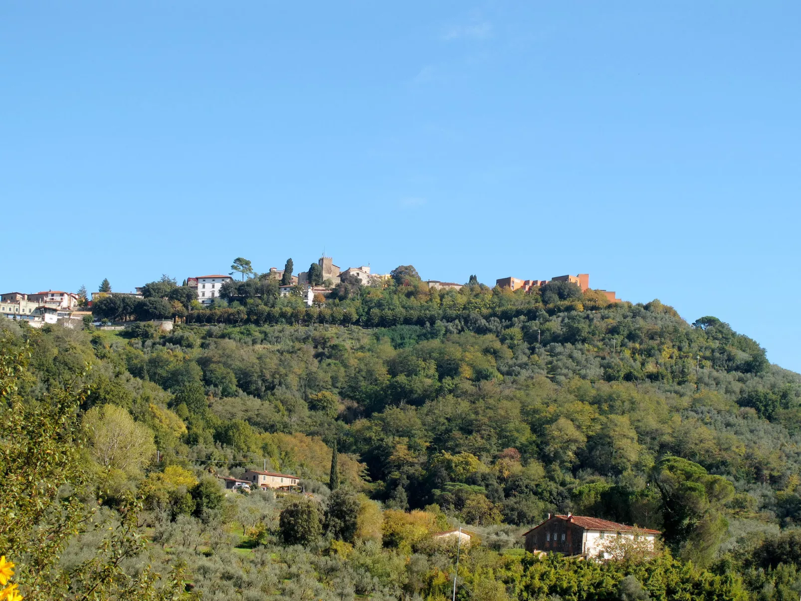 Il Paradiso-Area