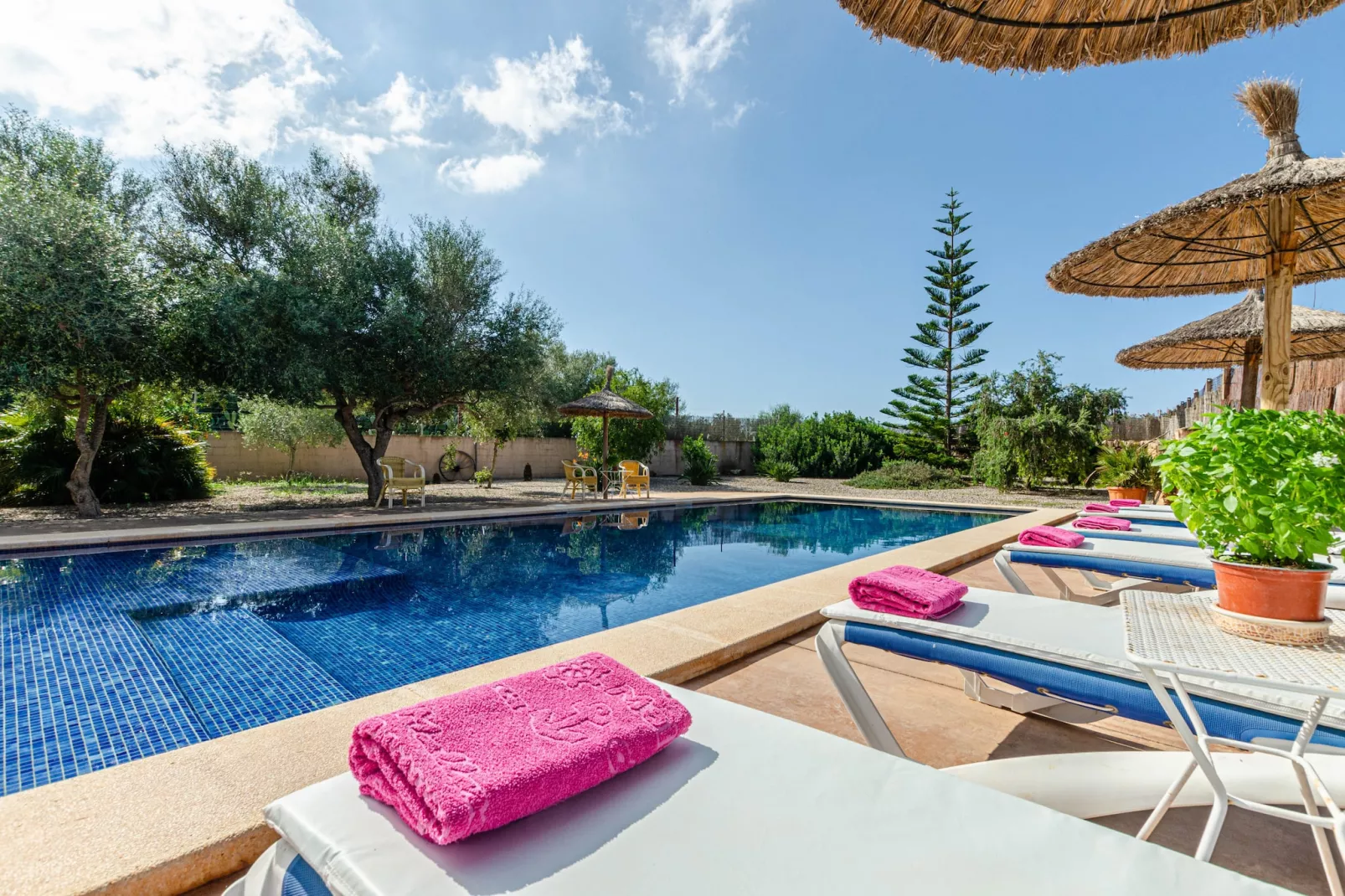 YourHouse  Villa Sa Punta de Ses Salines-Pool