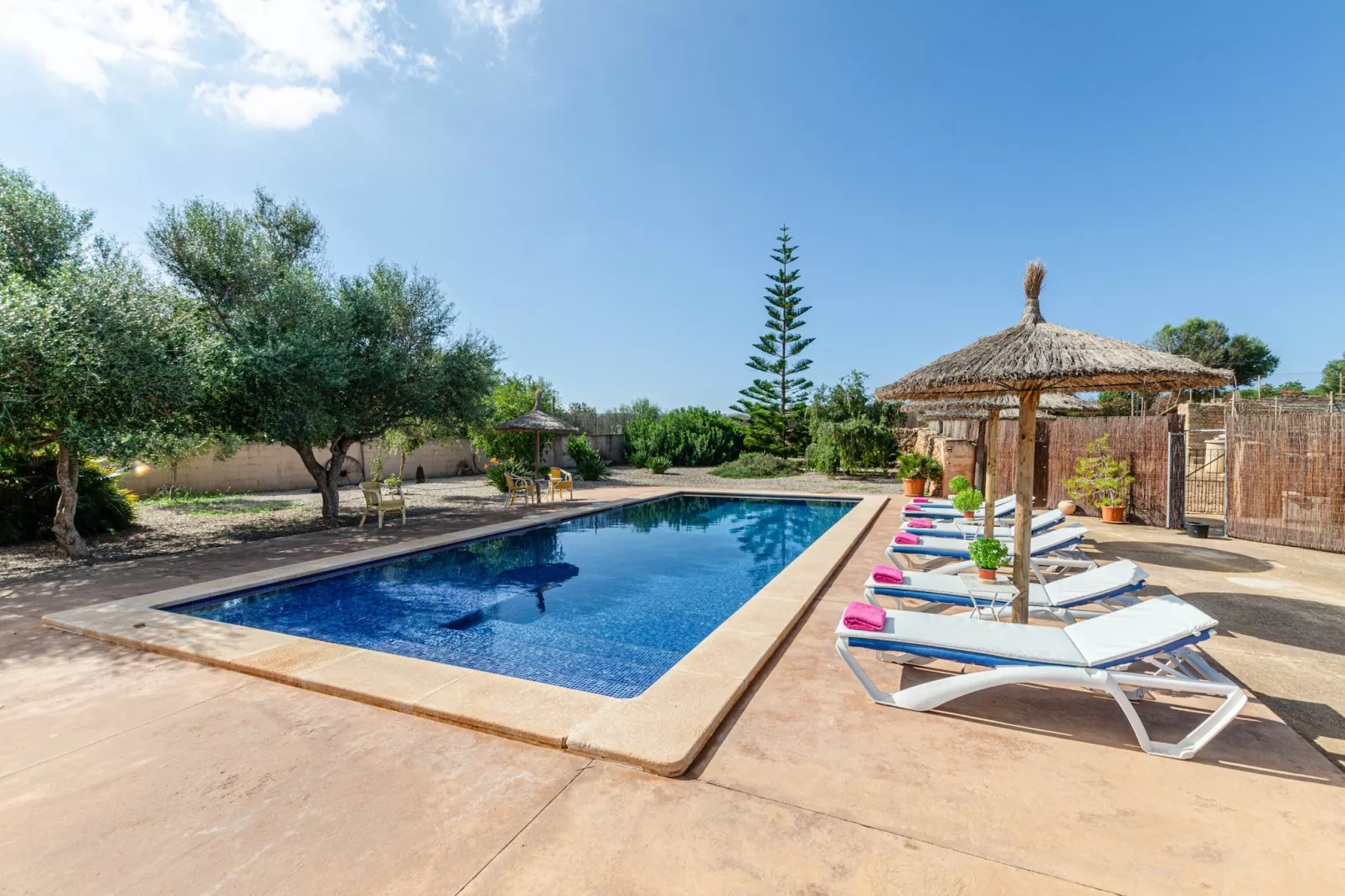 YourHouse  Villa Sa Punta de Ses Salines-Pool