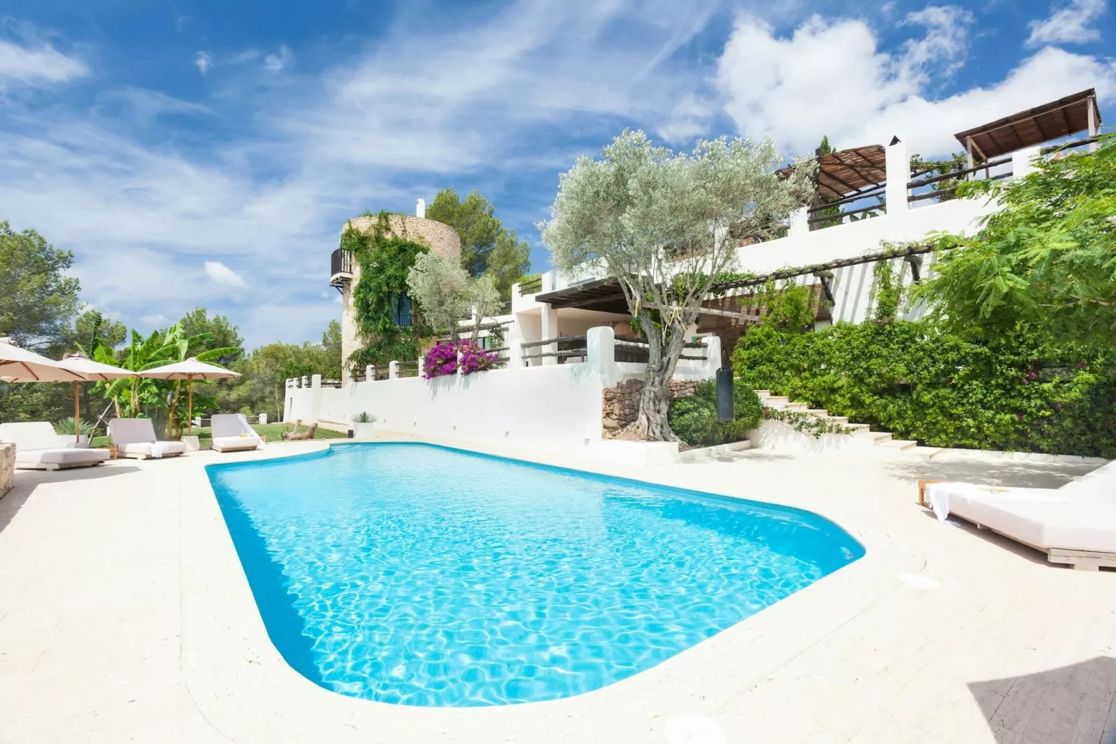 Can Gerbera-Pool