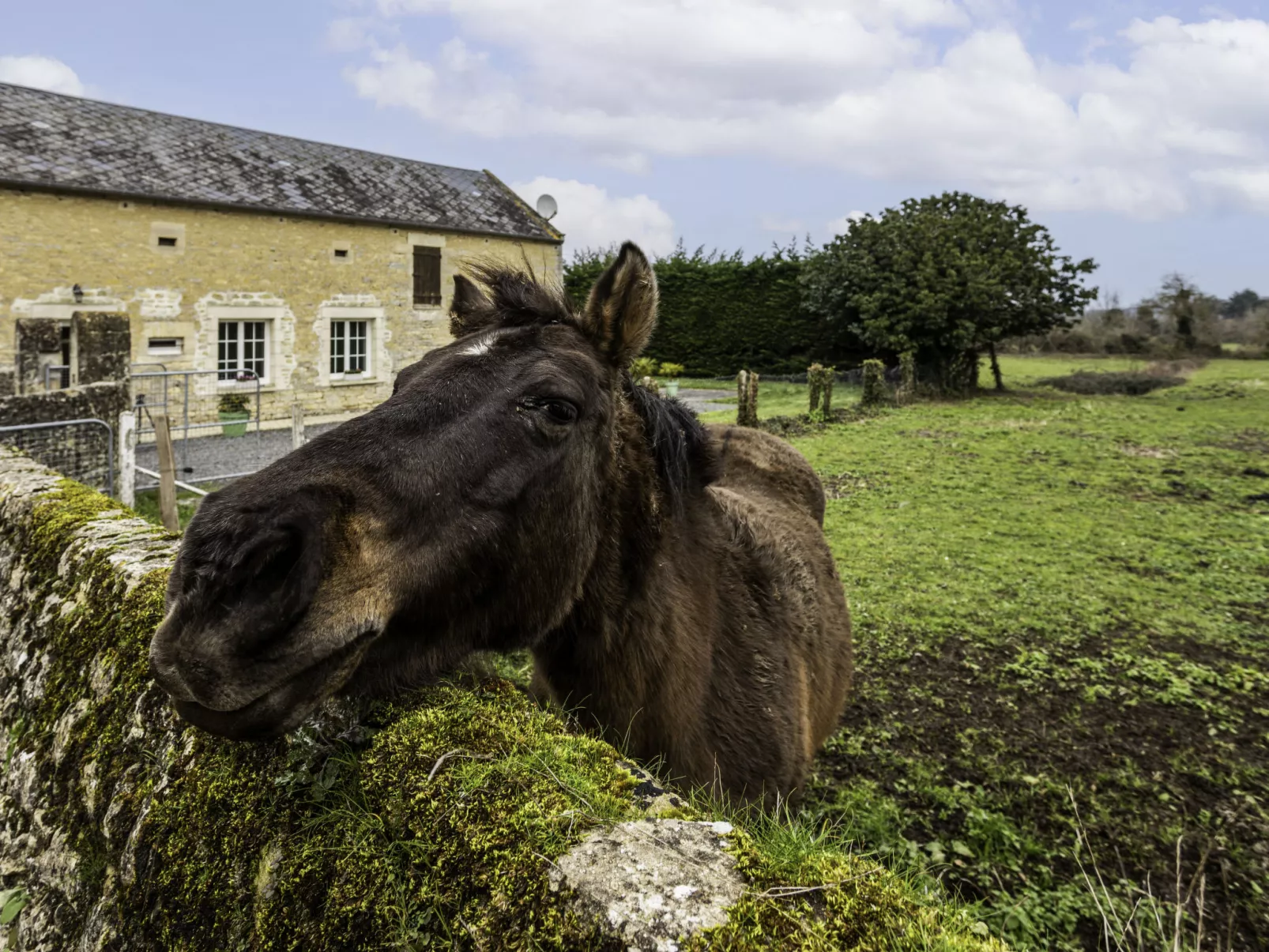 Le Clos Renard-Outside