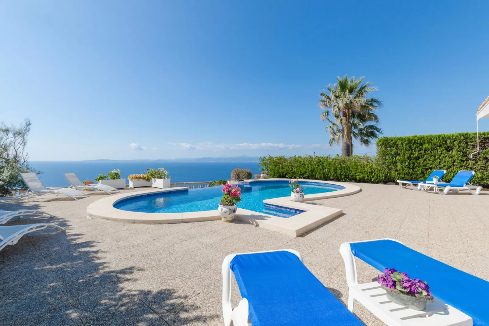 YourHouse Somni-Pool