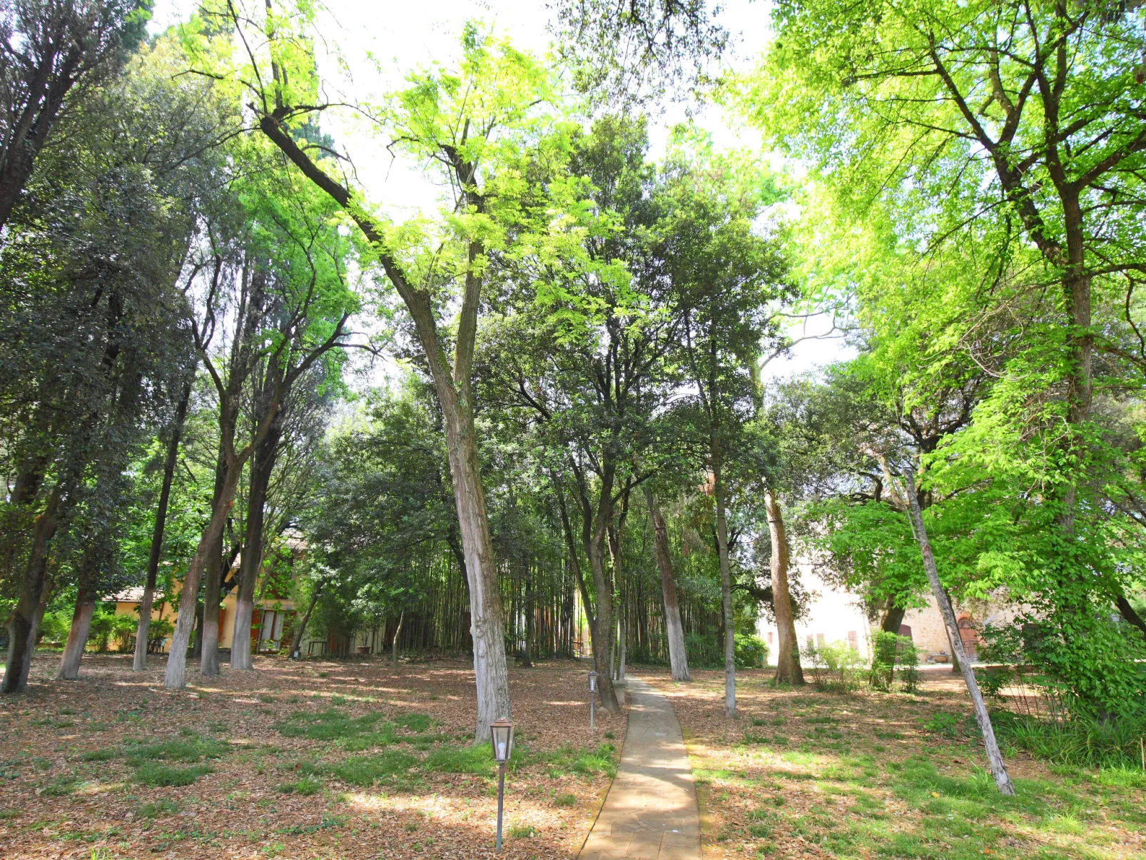 Montecorneo-Outside