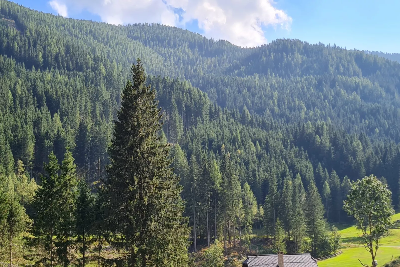Mountain View-Outdoor