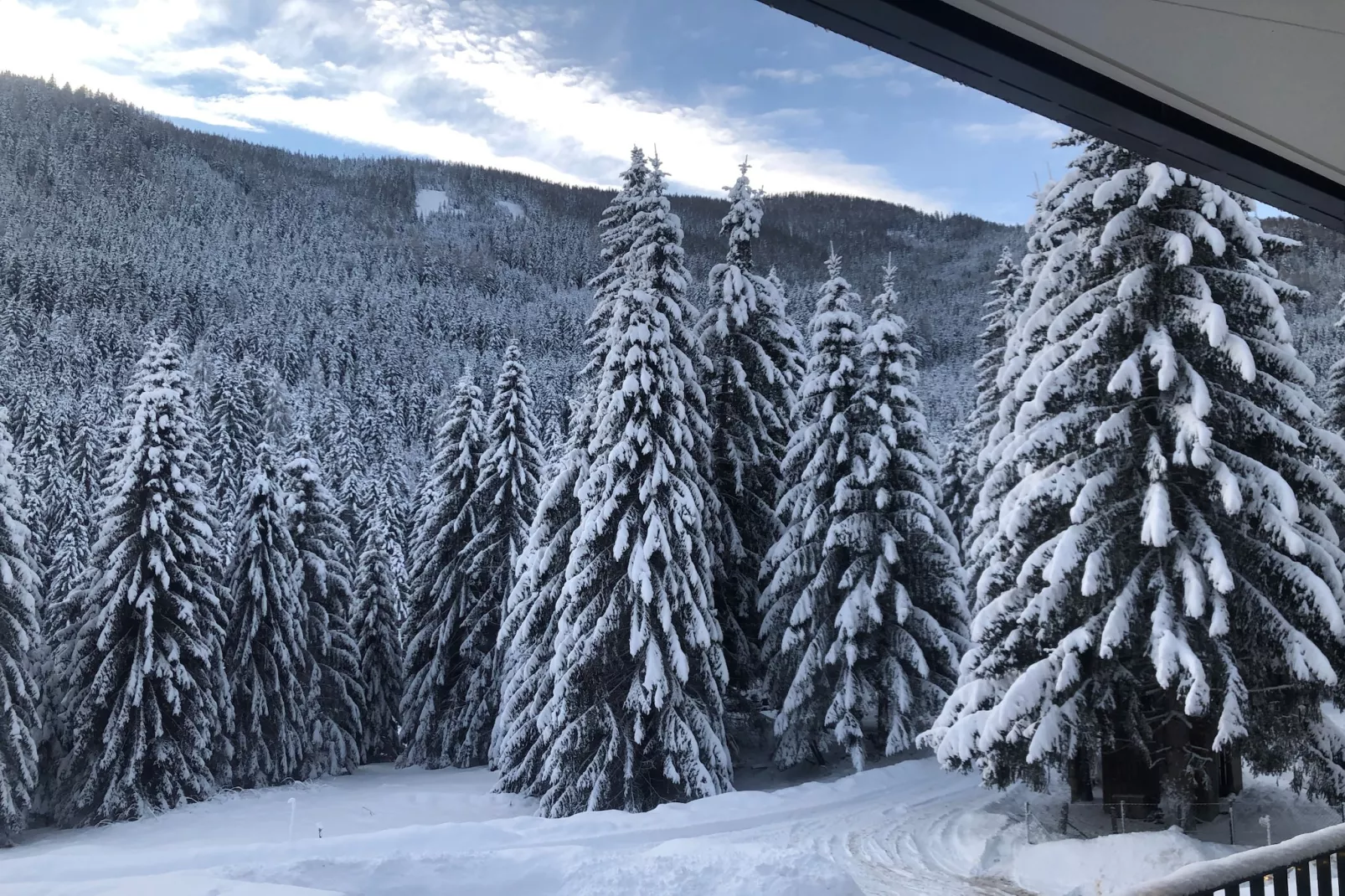 Mountain View-Outdoor