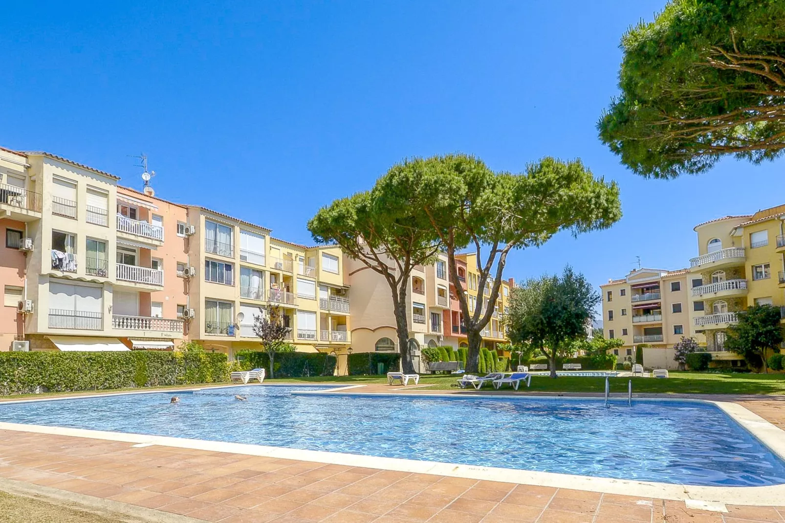 GRAN RESERVA  FLORES 19 12 Empuriabrava-Pool