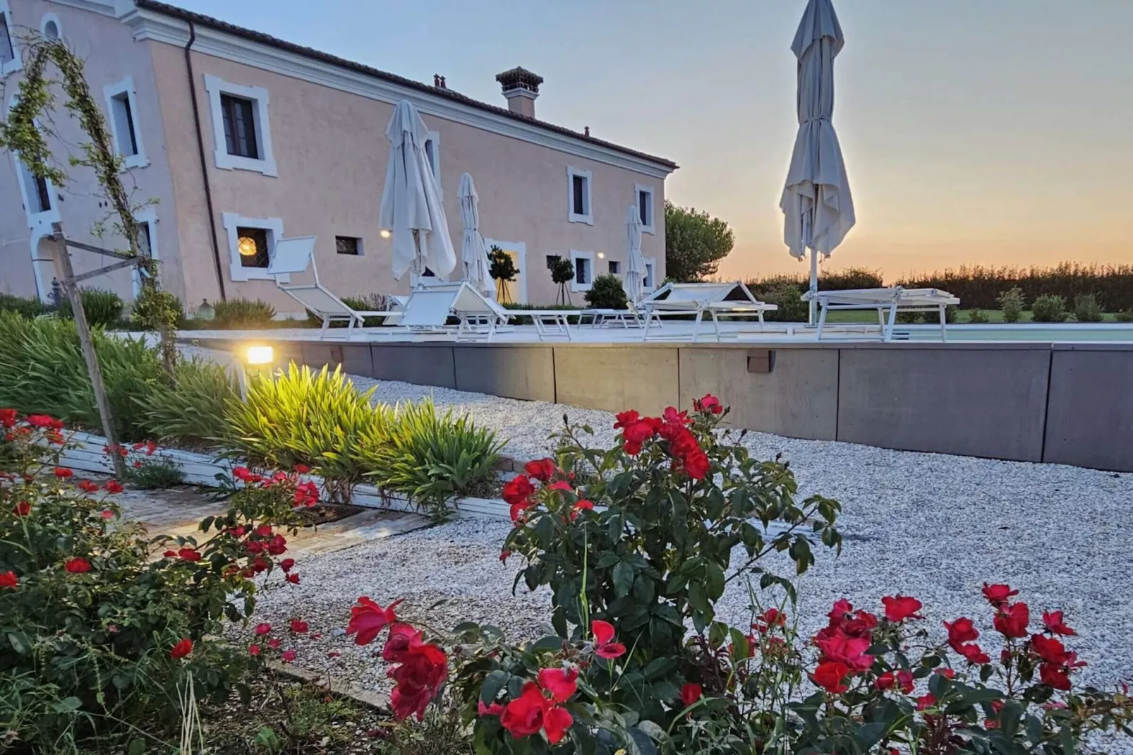 Ginestra-Exterior summer