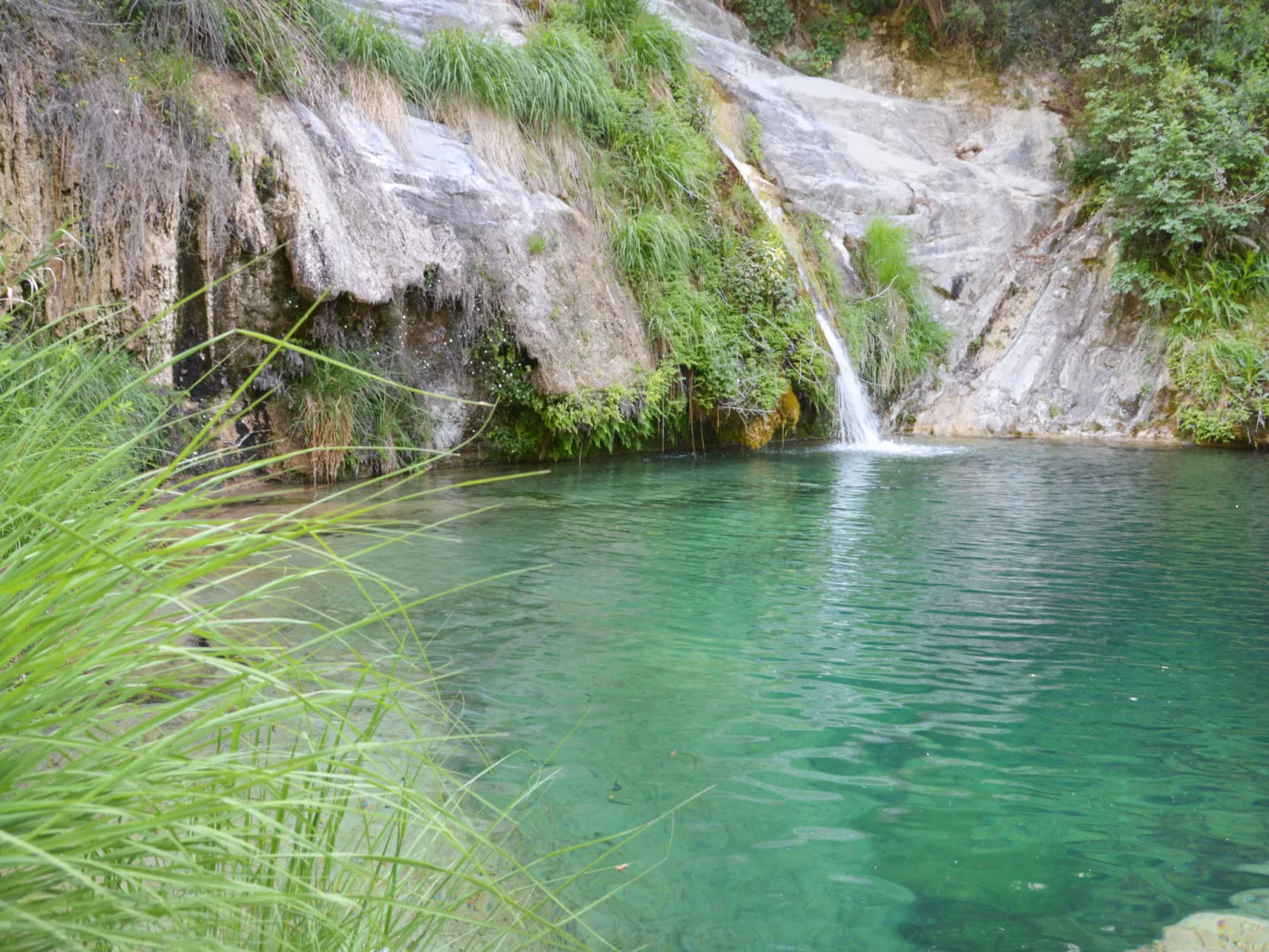 Sorei-Area