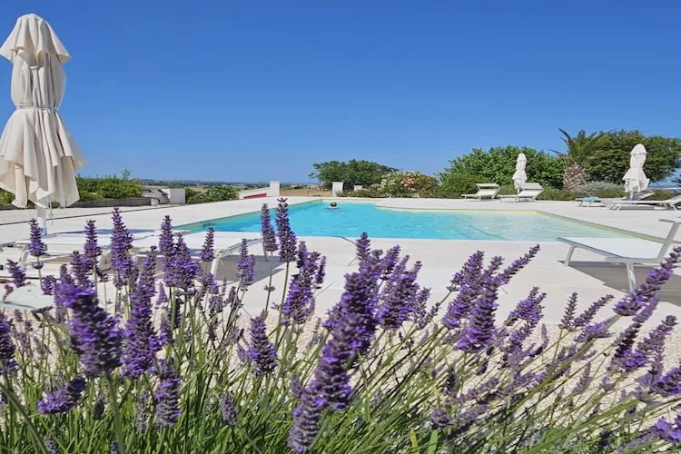 Salvia e Camelia-Pool