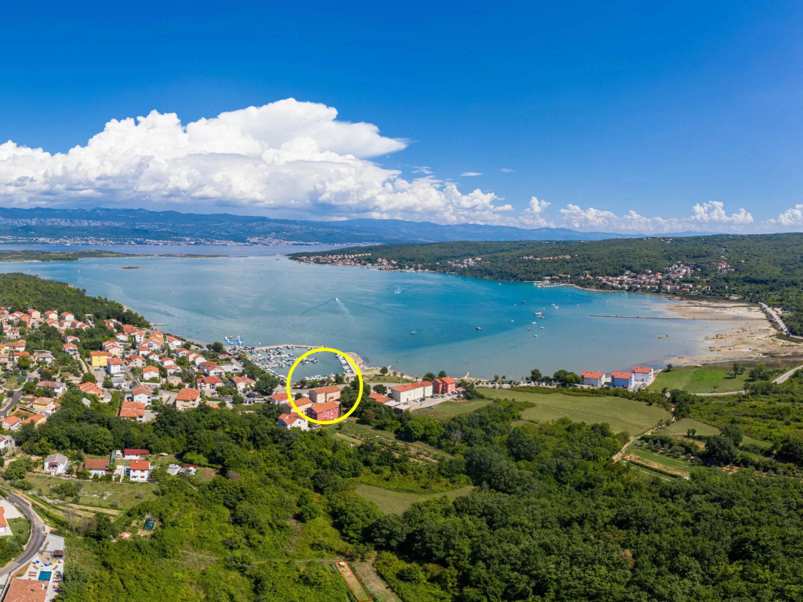 Ivan-Area