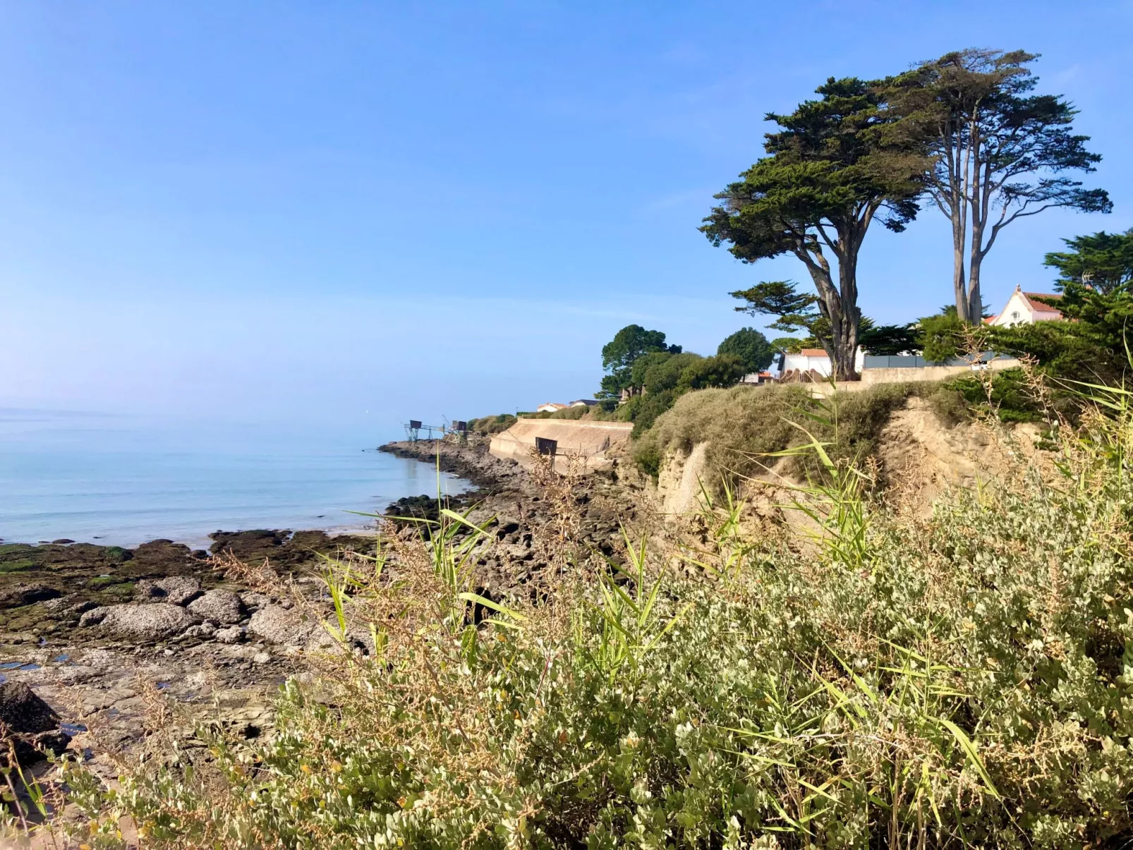 Plein Océan-Area