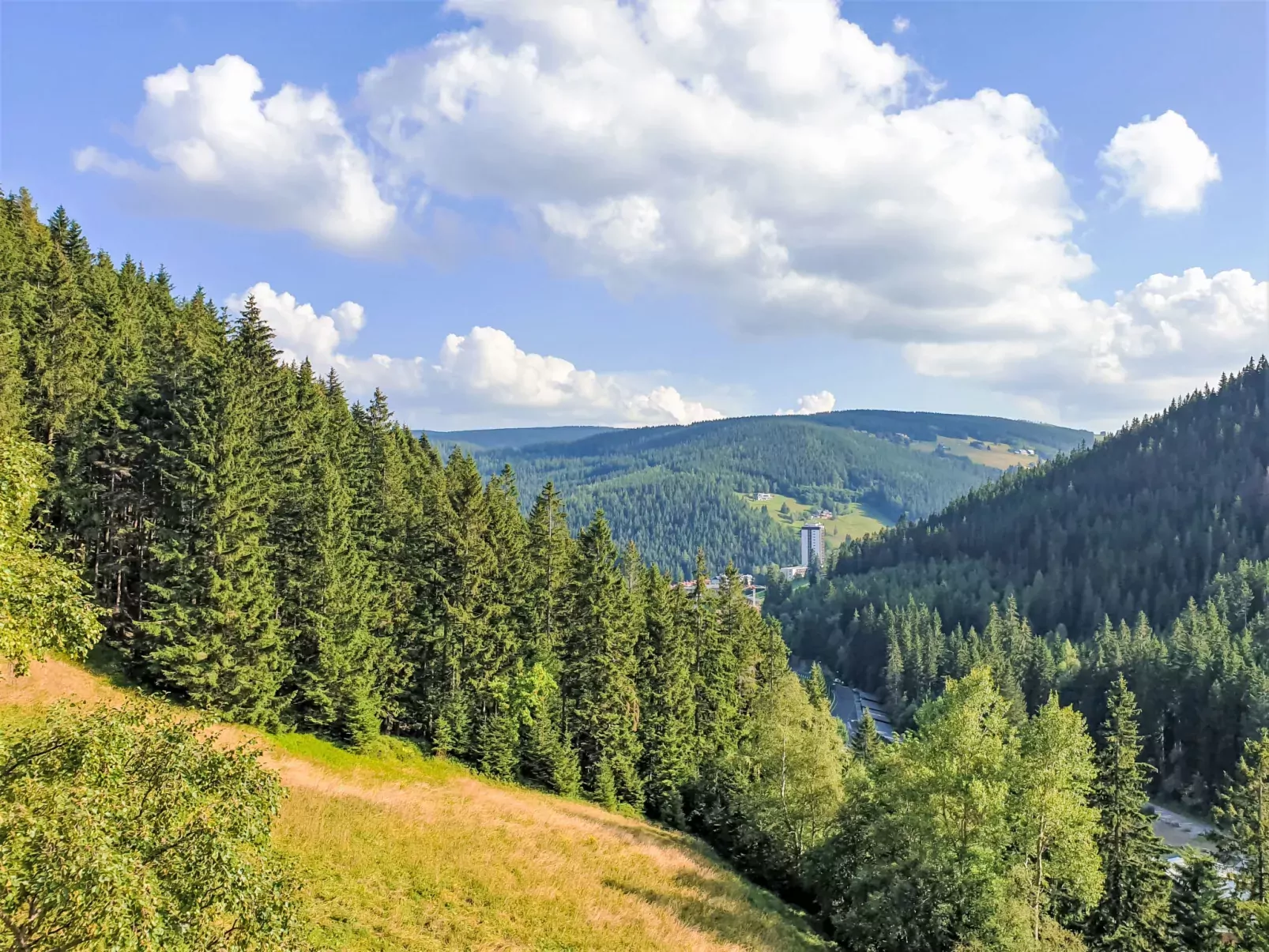 Máj-Area
