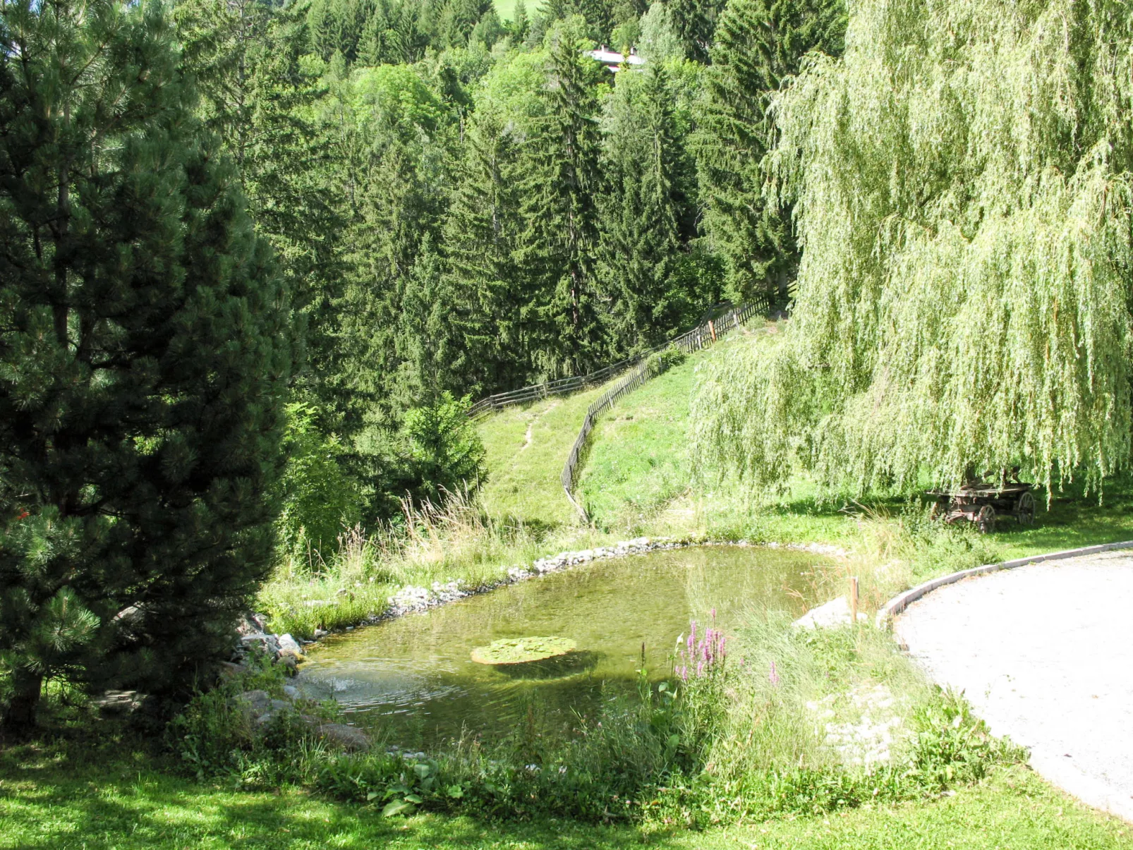 Burg Biedenegg, Sigwein-Drinnen