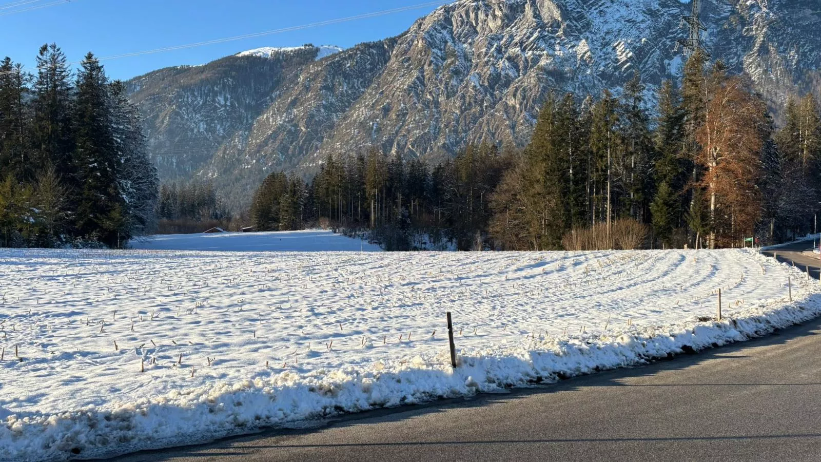 Almblick-Area winter 1km