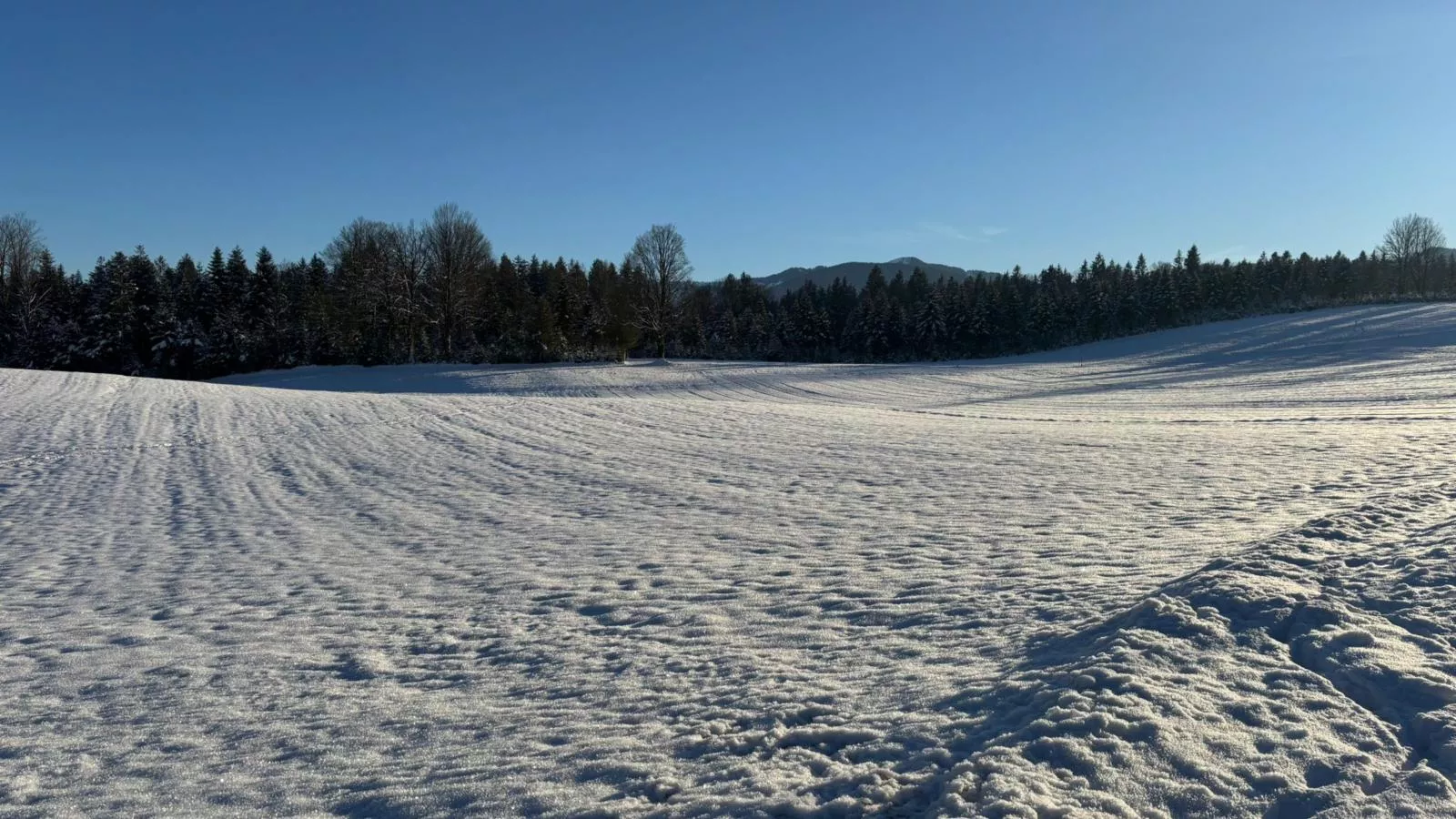 Almblick-View winter