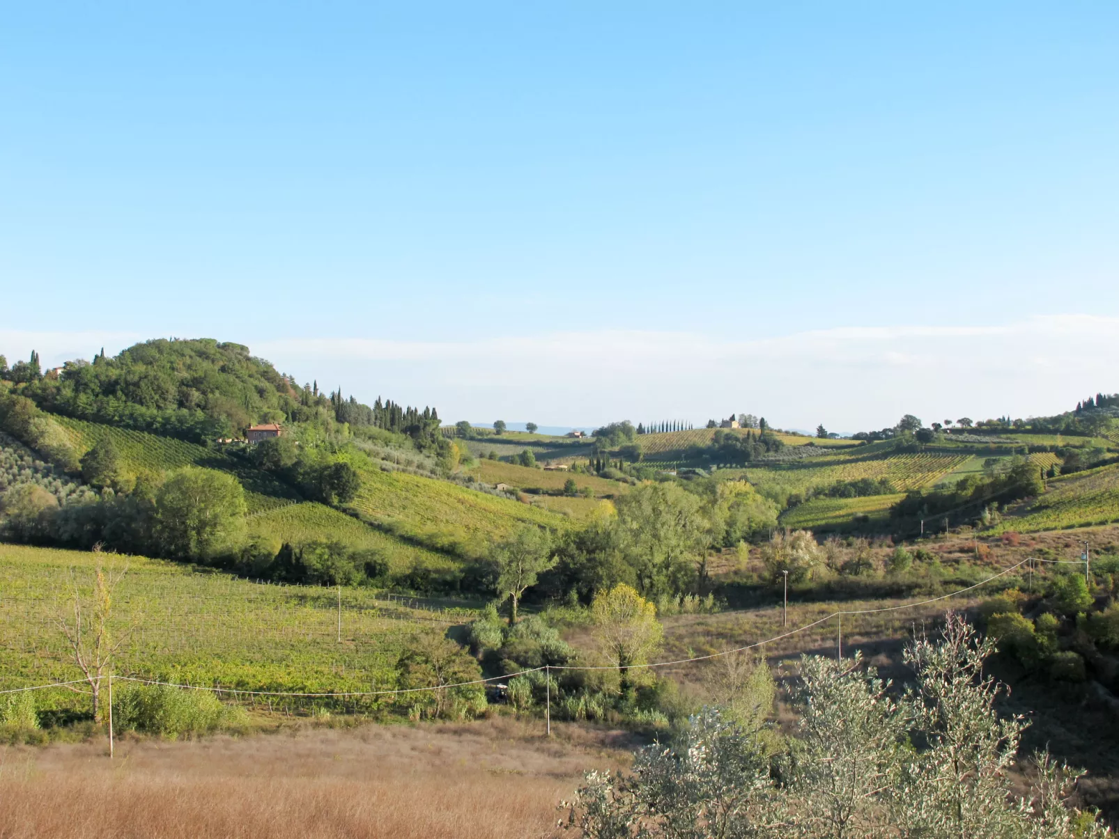 The Nest-Area