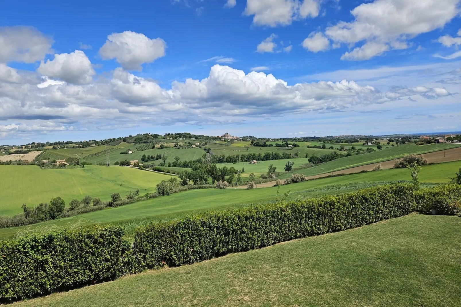 Melograno-Areas summer 1km