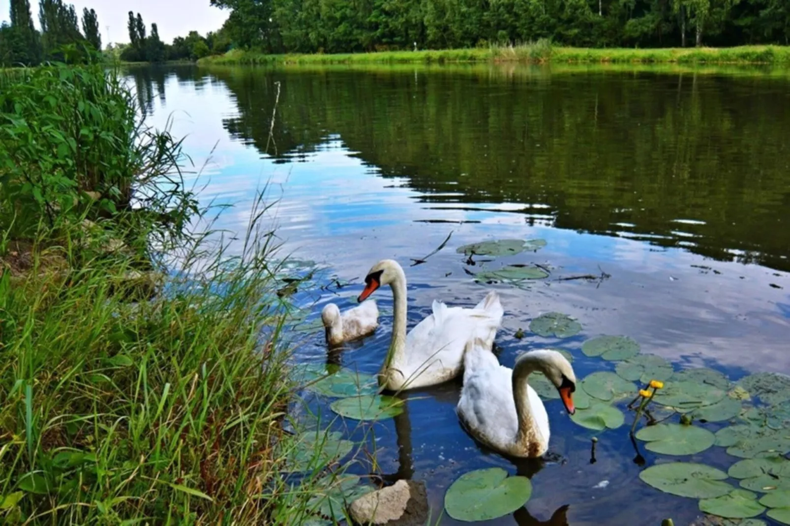Lány SPLG140-Areas summer 5km