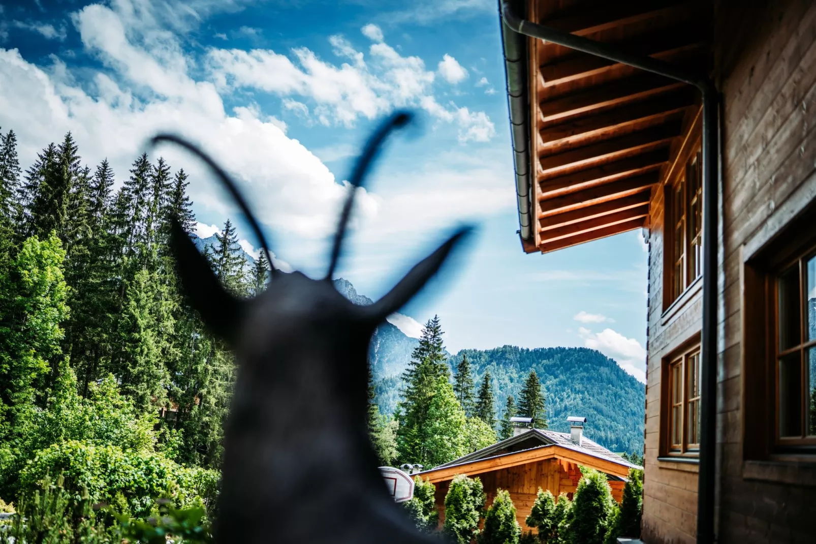 Chalet Gamsglück in Waidring-Not tagged