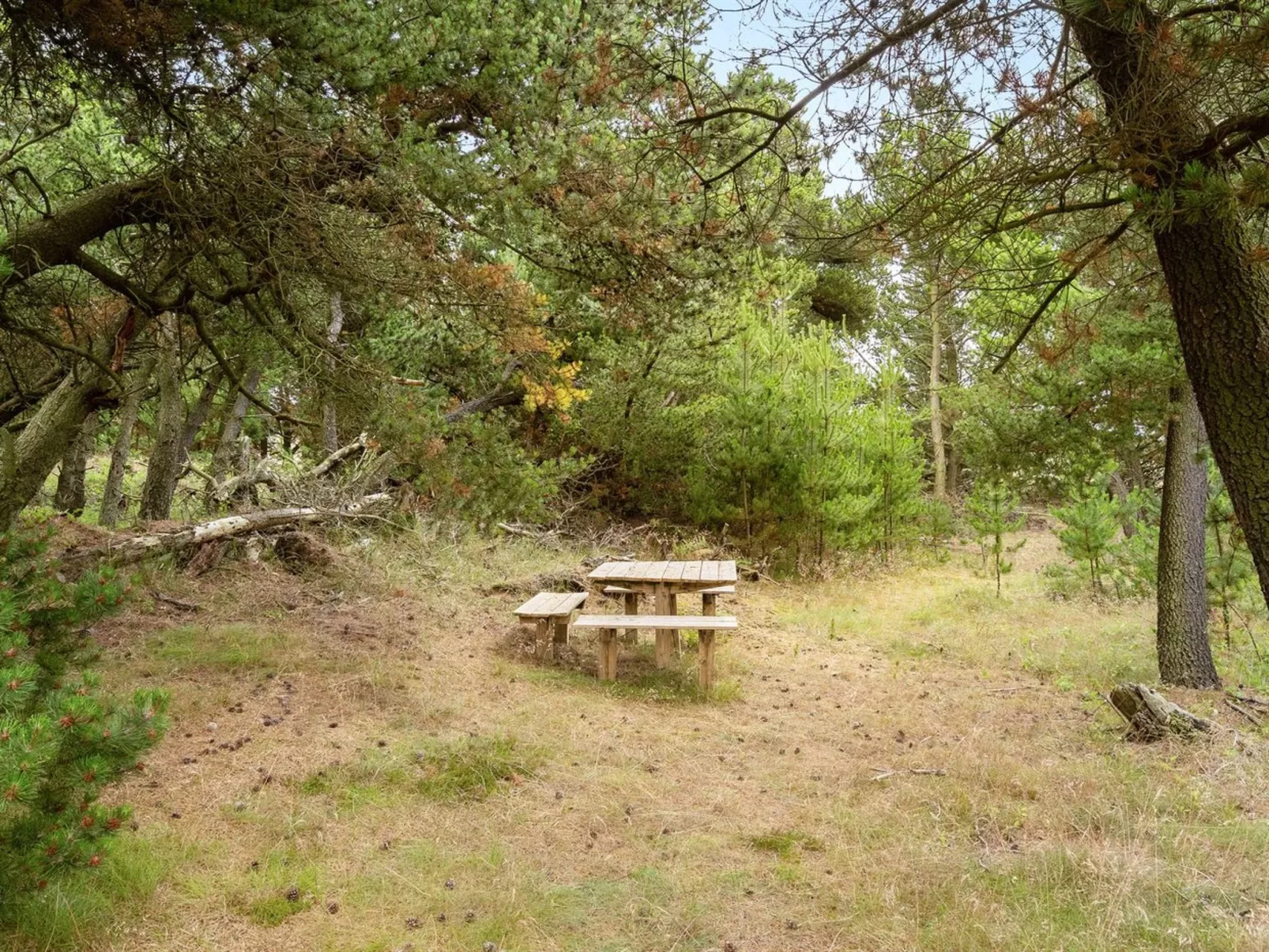 "Atreju" - 2km from the sea-Outside