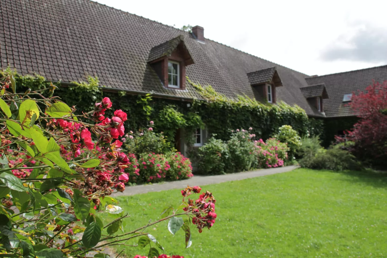 Gite 3-Park facilities