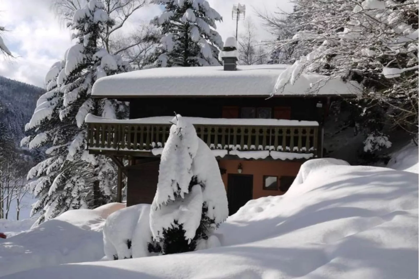 LE TRAPPEUR  Chalet en bois vue montagne-Outdoor