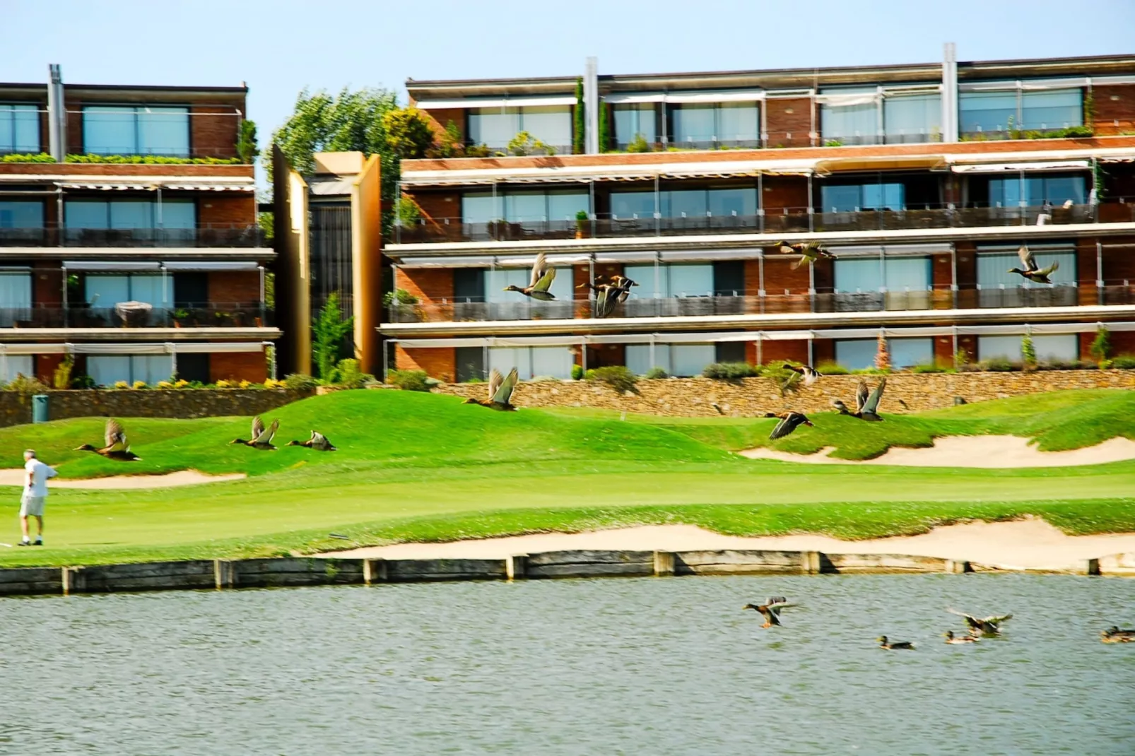 RESID.GOLF EST. 4 1-2-Areas summer 1km