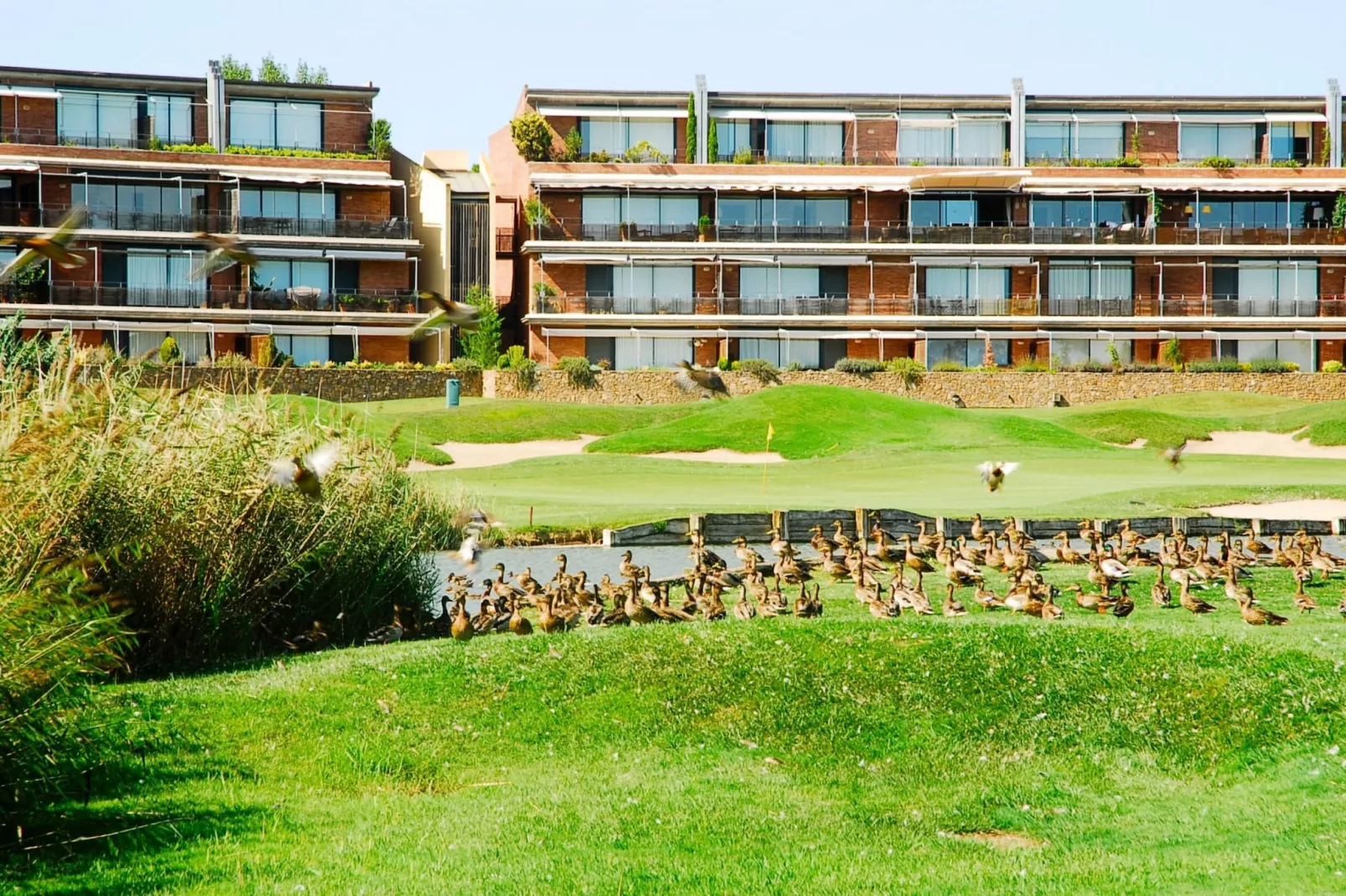RESID.GOLF EST. 4 1-2-Areas summer 1km