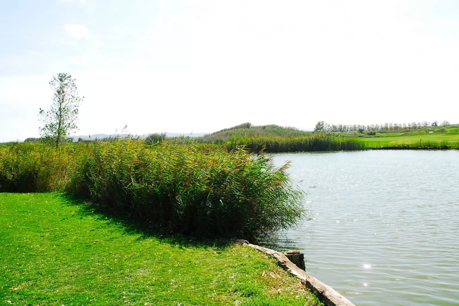 RESID.GOLF EST. 4 1-2-Areas summer 5km