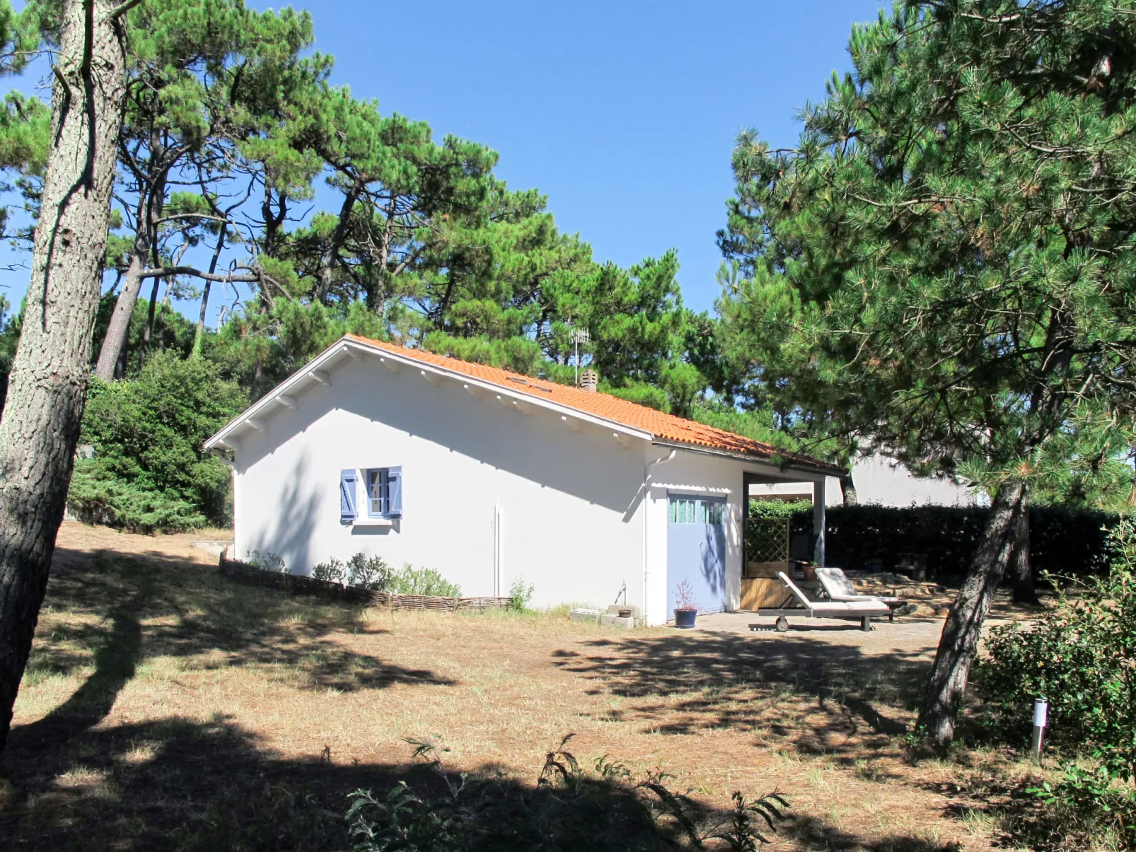 Les Rougets (TSM217)-Dehors