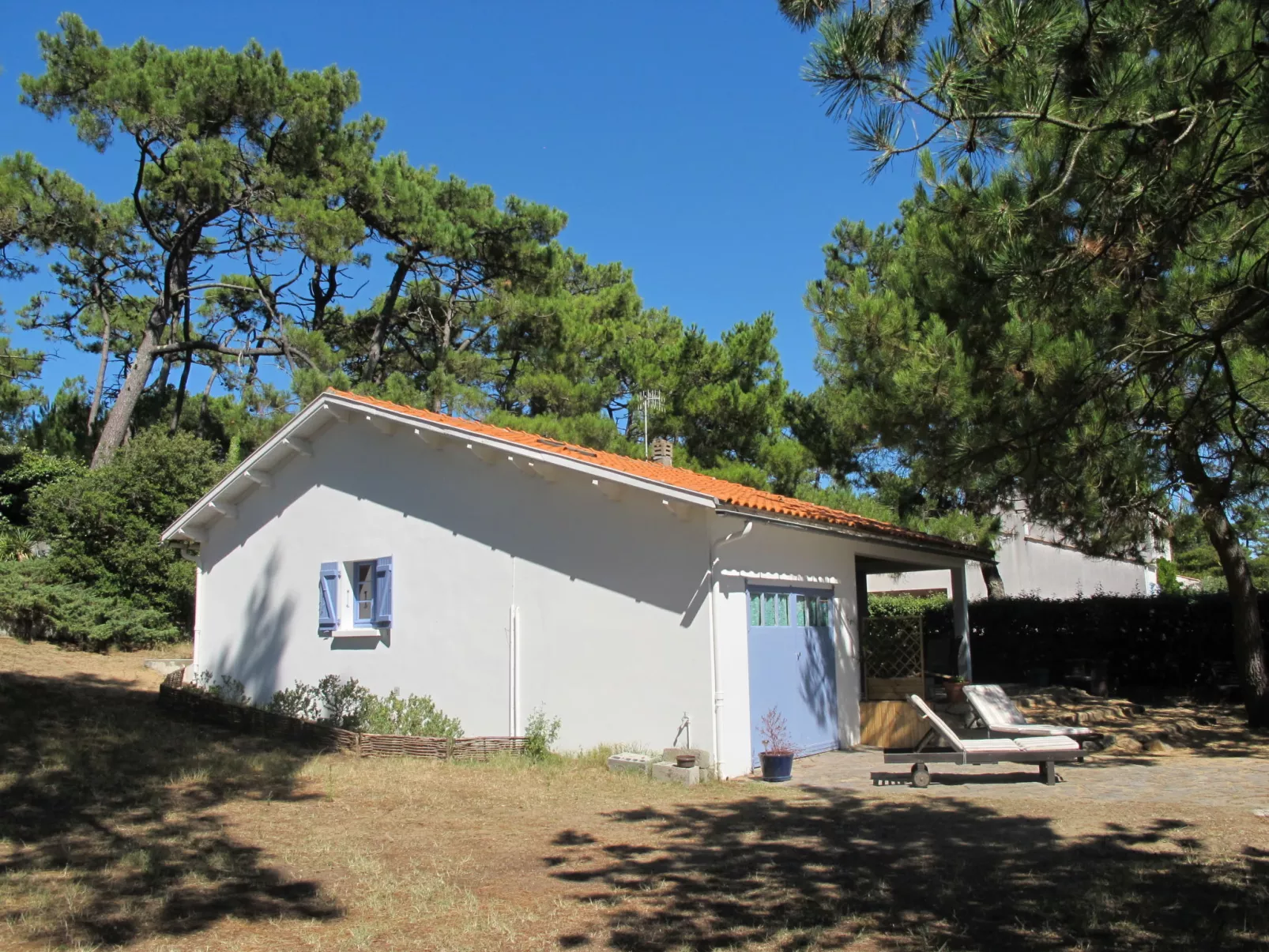 Les Rougets (TSM217)-Dehors