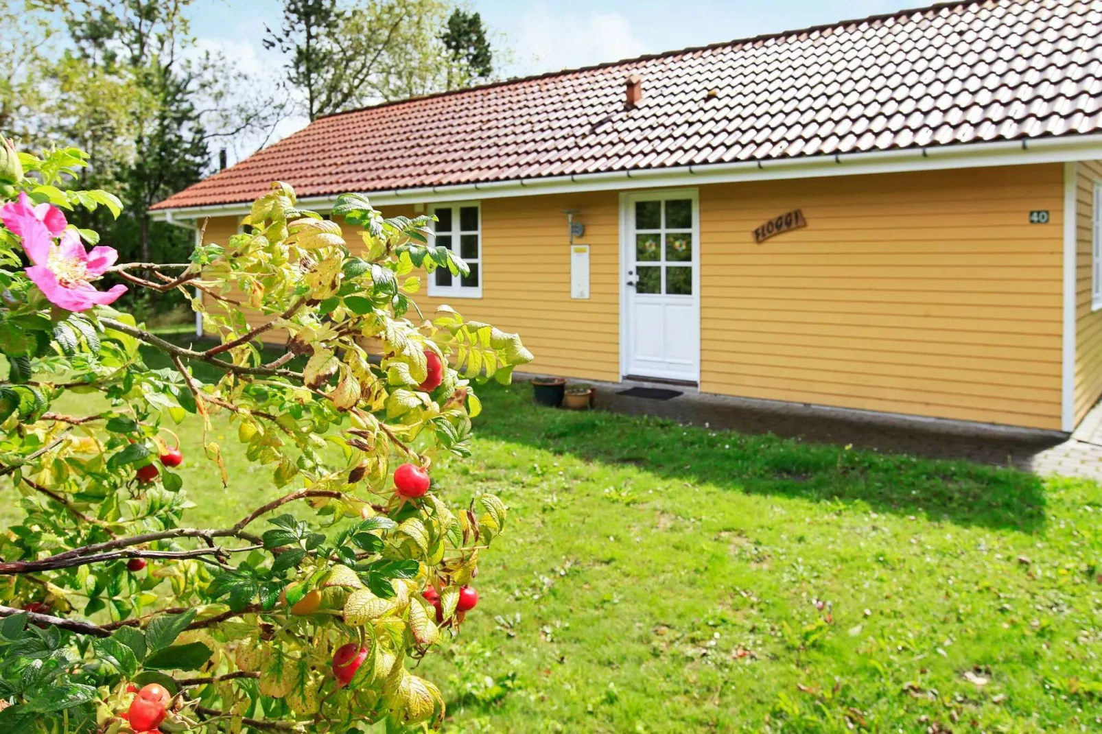 8 Personen Ferienhaus in Oksbøl-Aussicht