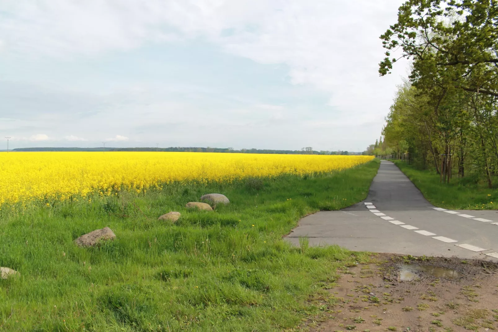 Seeblick-Außenbereich Sommer