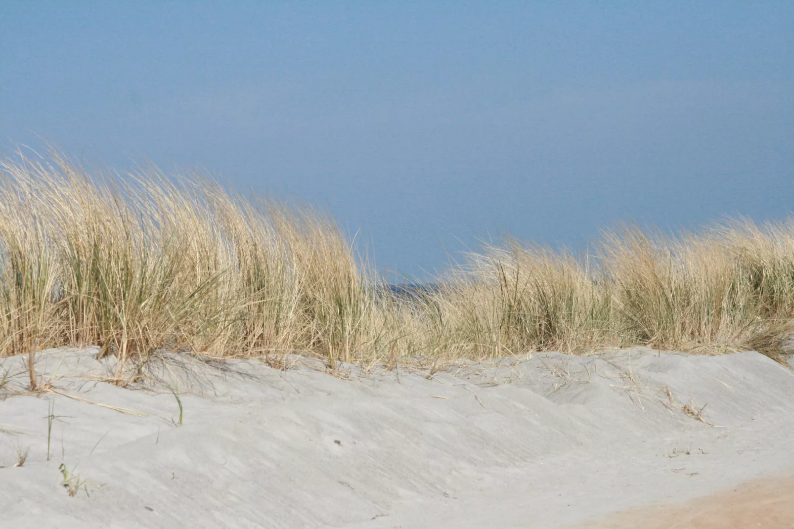 Seeblick-Gebiete Sommer 5 km