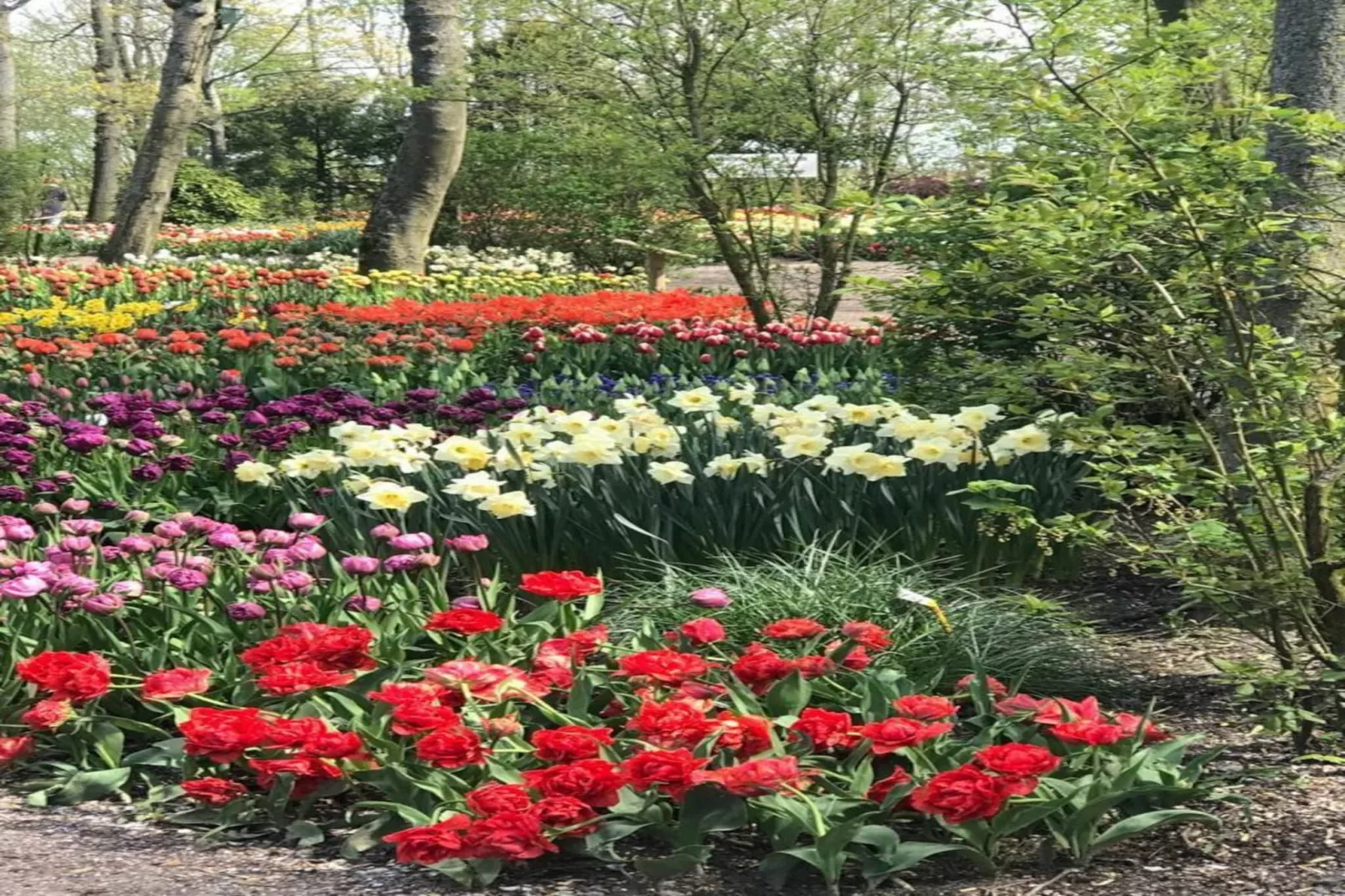 Ruyghe Hoeck 4-Gardens summer
