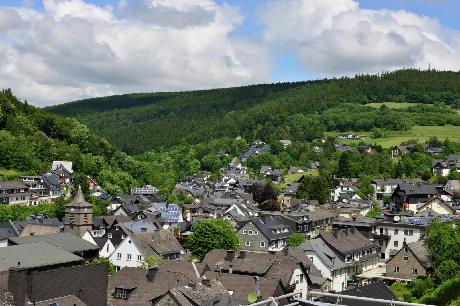 Willingen-Areas summer 1km