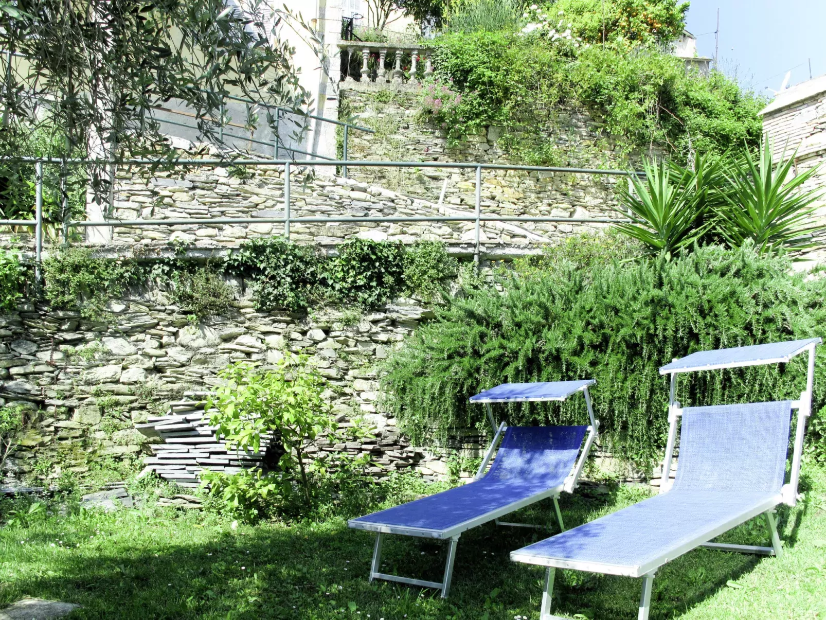 Asplanato (DOL160)-Outside