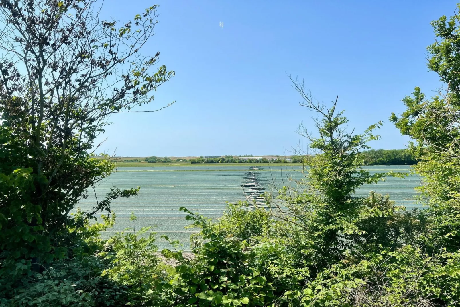 Anzelhoef 26-Areas summer 5km