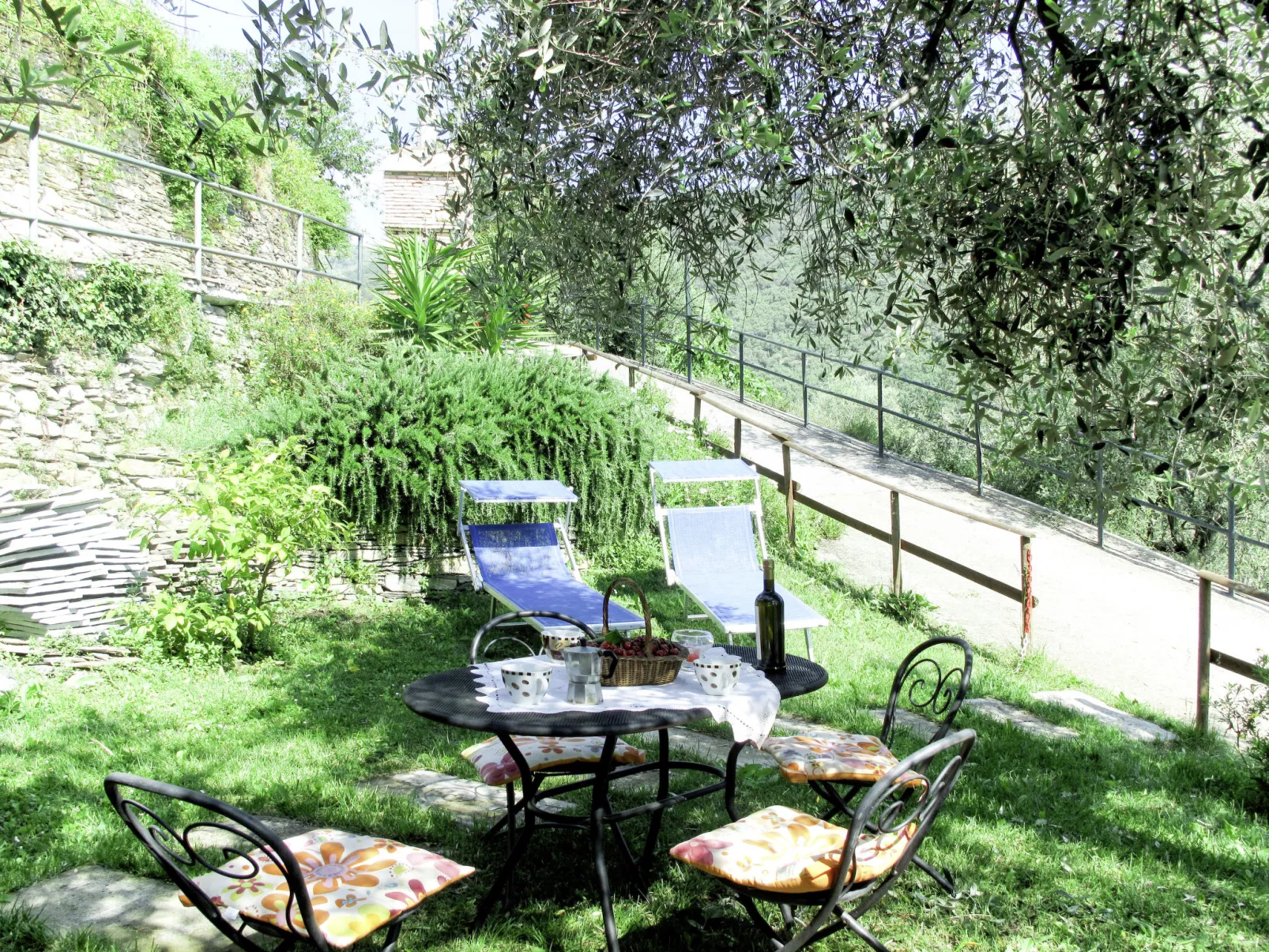 Asplanato (DOL160)-Outside