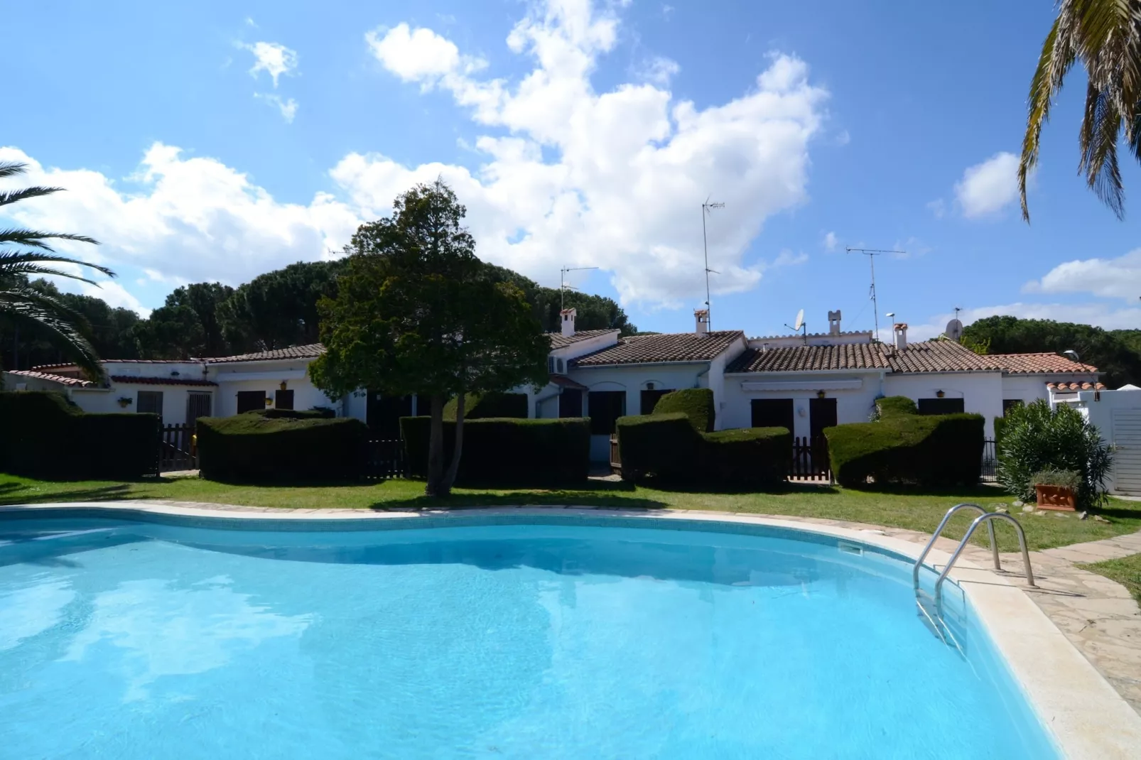 PUIG 213-Areas summer 1km