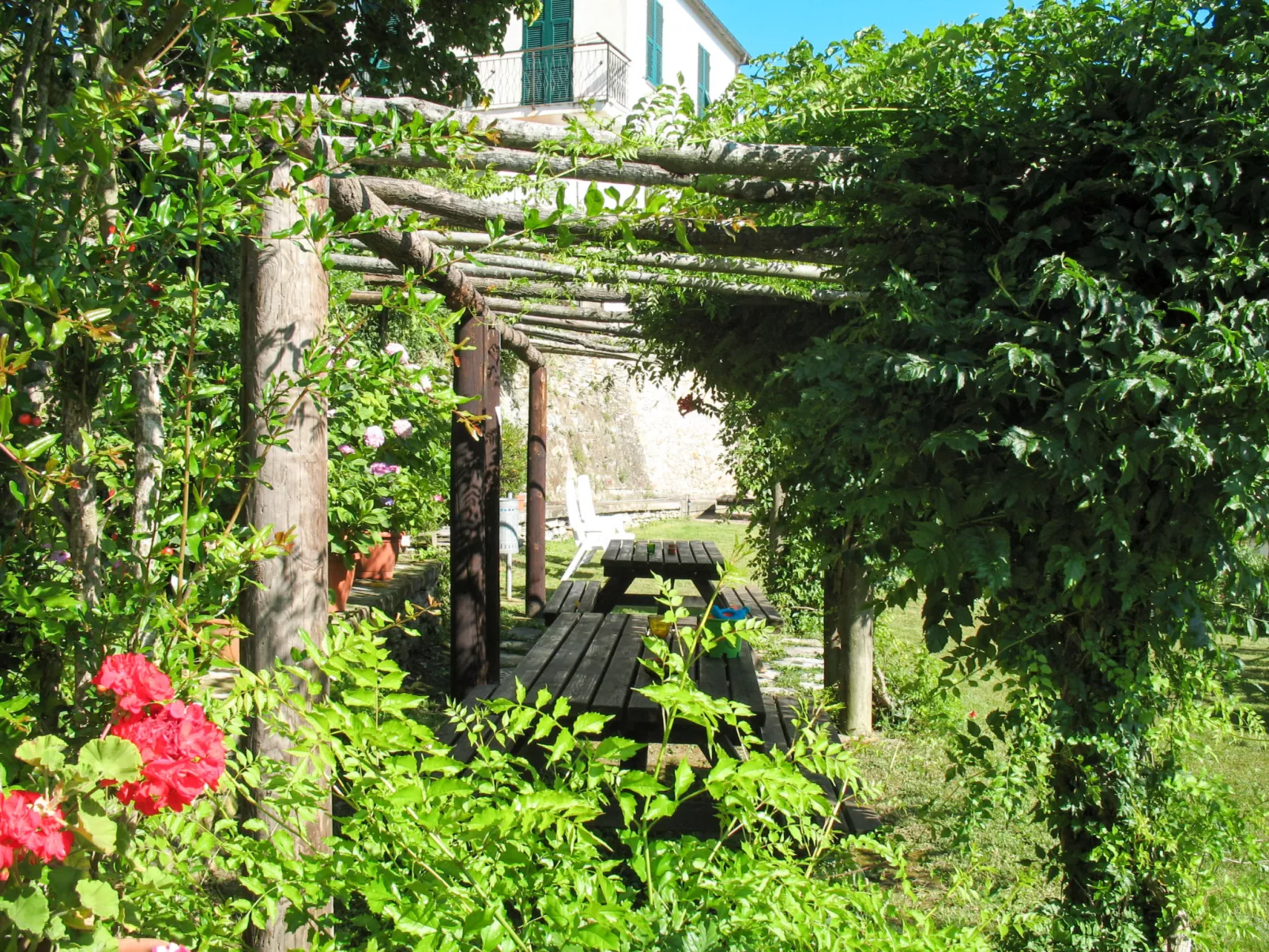 Asplanato (DOL163)-Outside