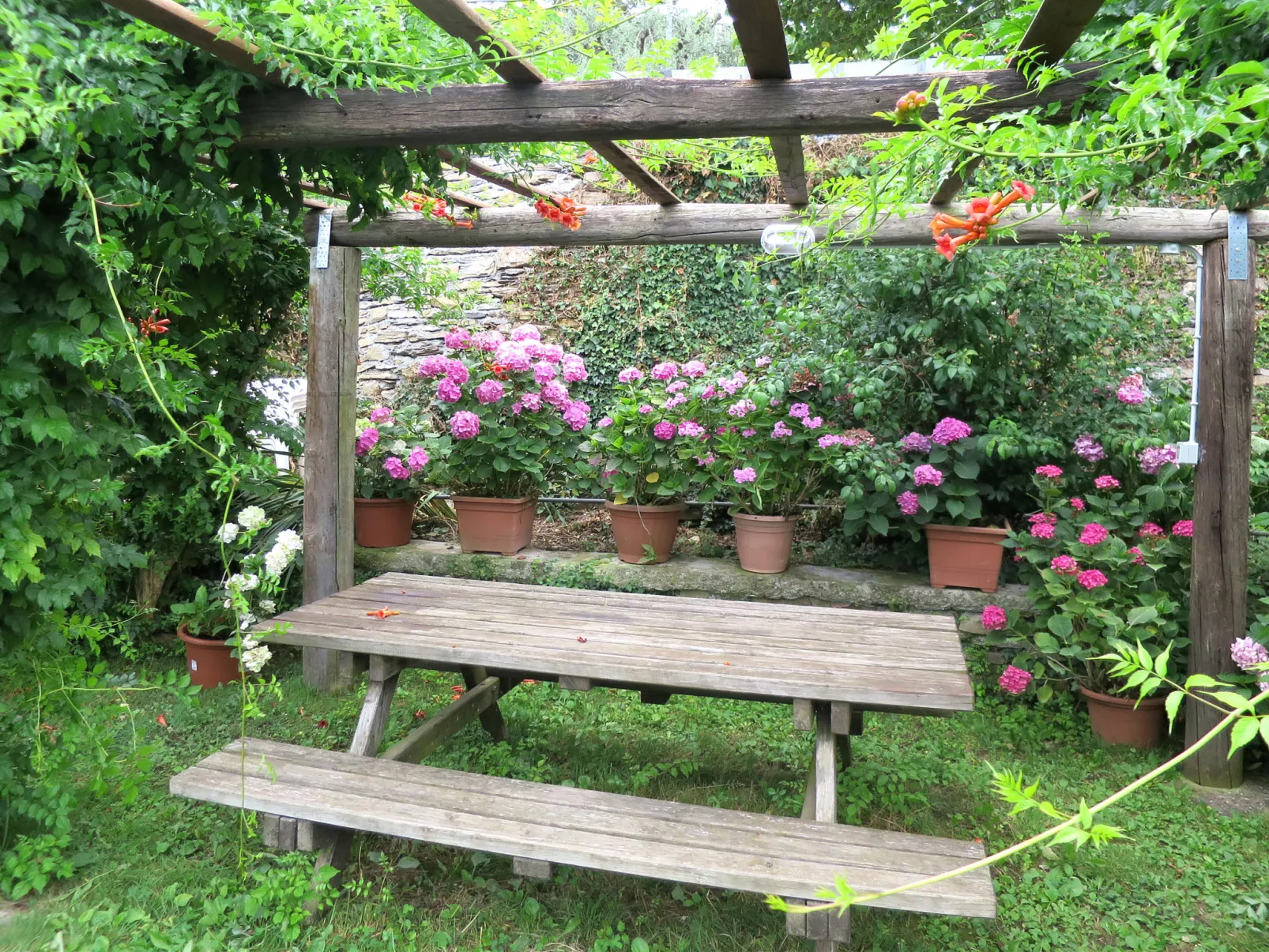 Asplanato (DOL163)-Outside