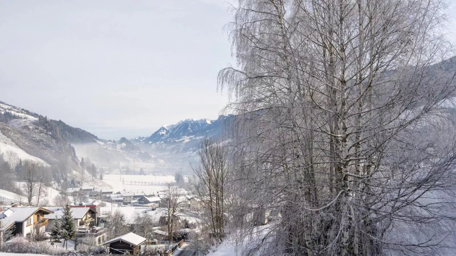 Del Sol-Area winter 5km