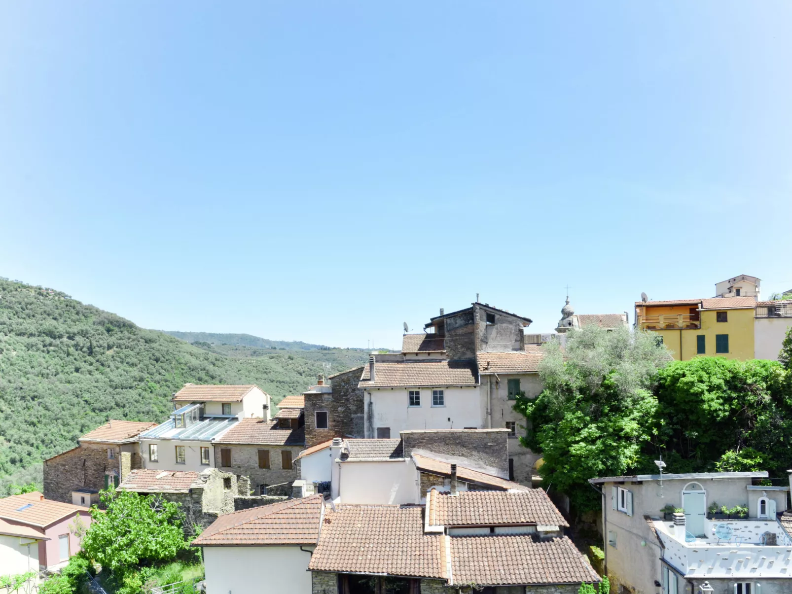 Asplanato (DOL164)-Dehors