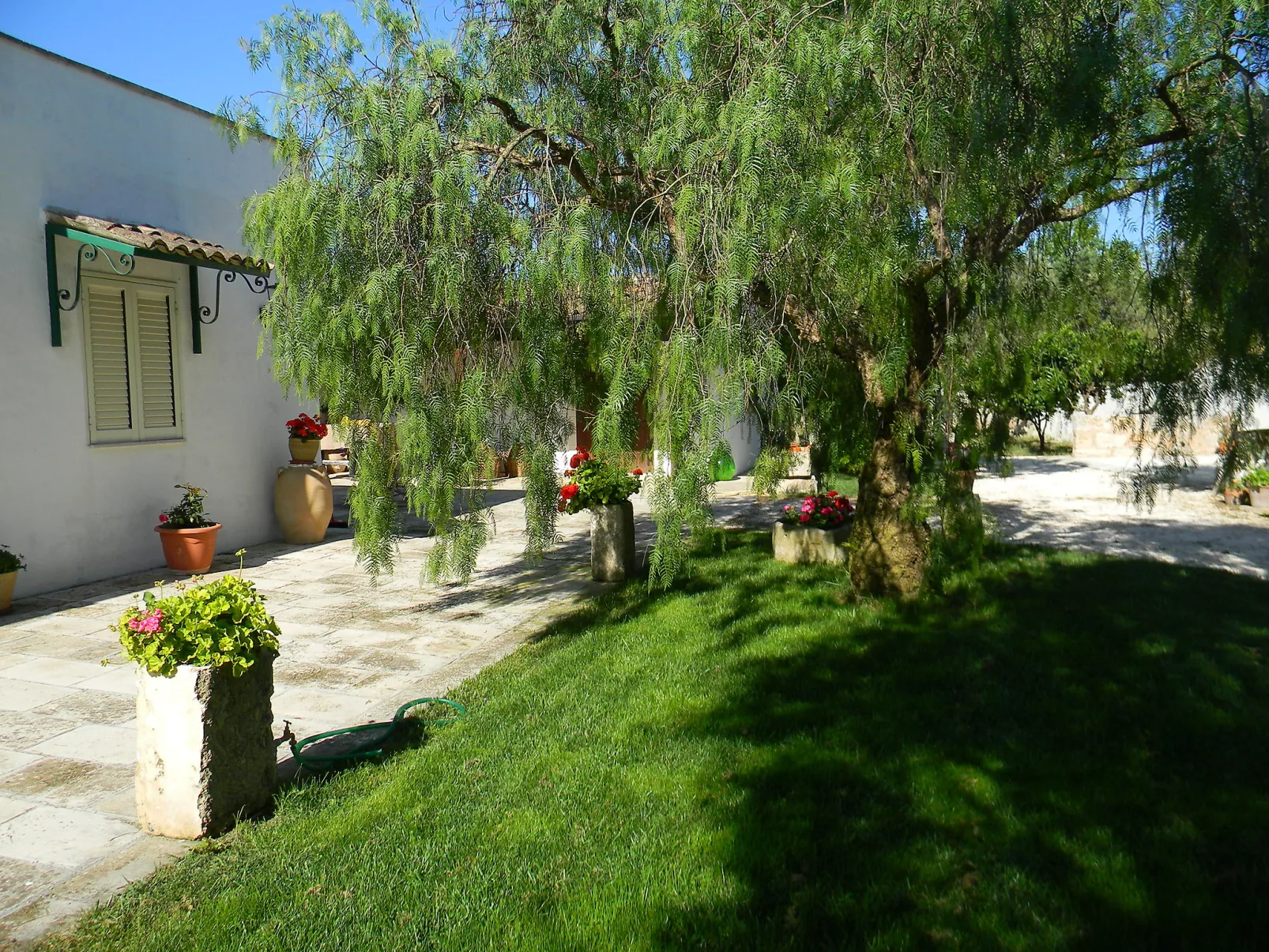 Piccola-Outside