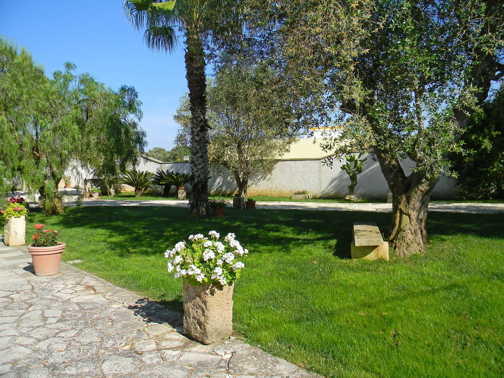 Piccola-Outside