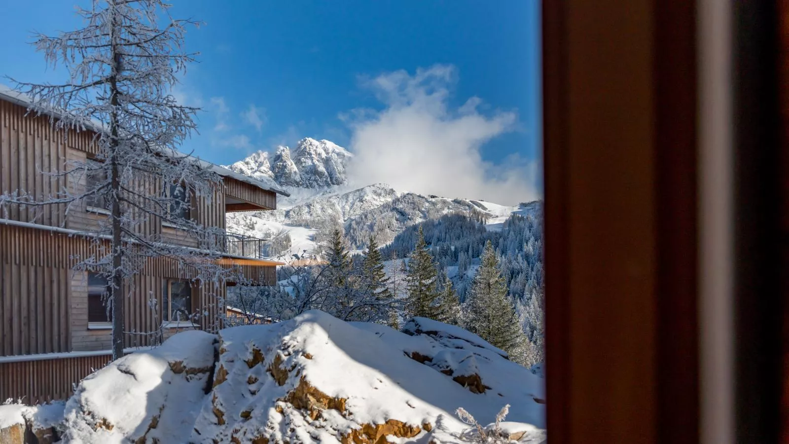 Zirbennest Sonnenalpe Nassfeld-View winter