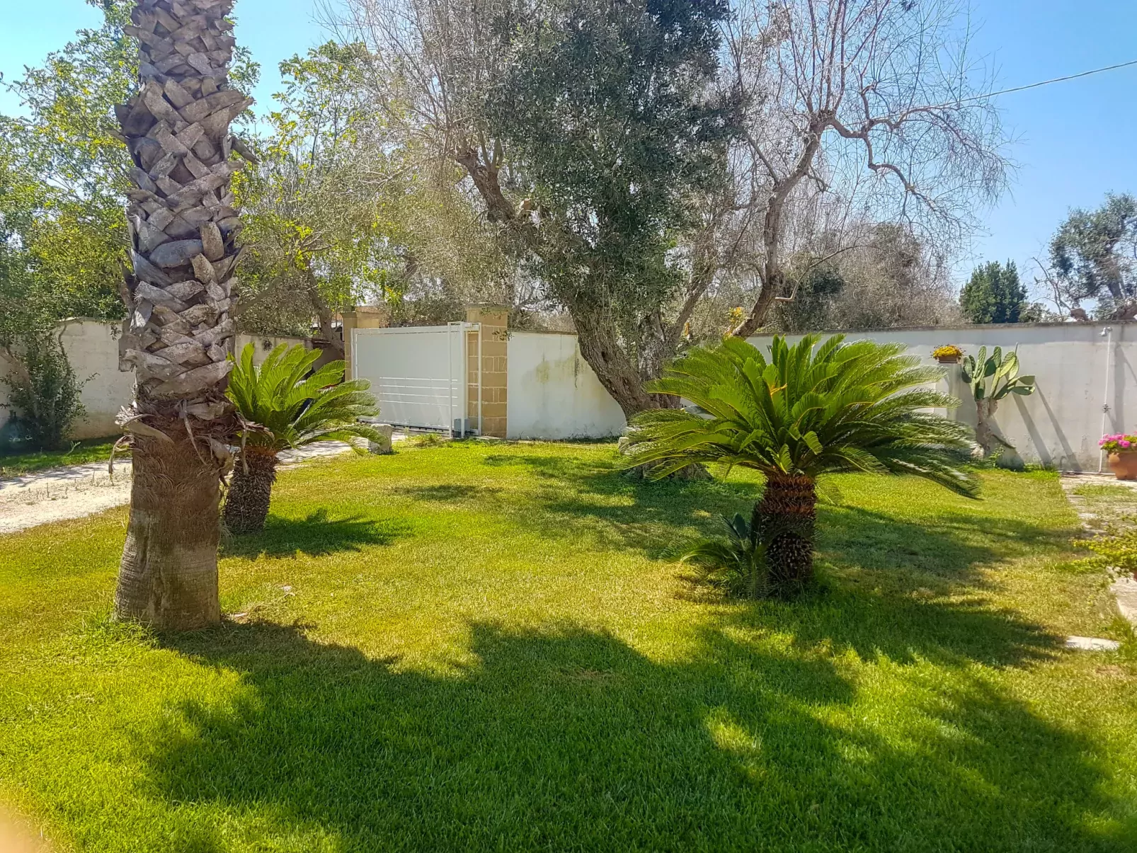 Piccola-Outside
