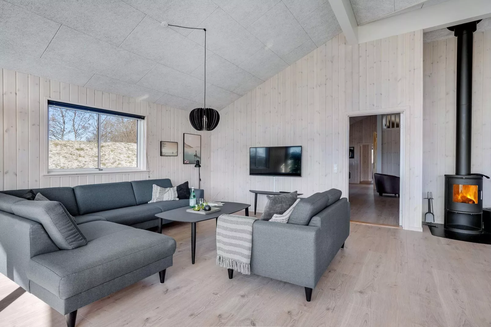 5 etoiles maison de vacances a Ålbæk-Intérieur